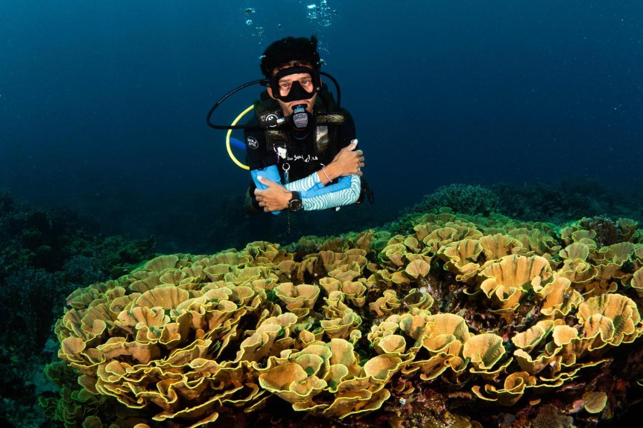 Sanctum Una Una Eco Dive Resort Pulau Unauna ภายนอก รูปภาพ