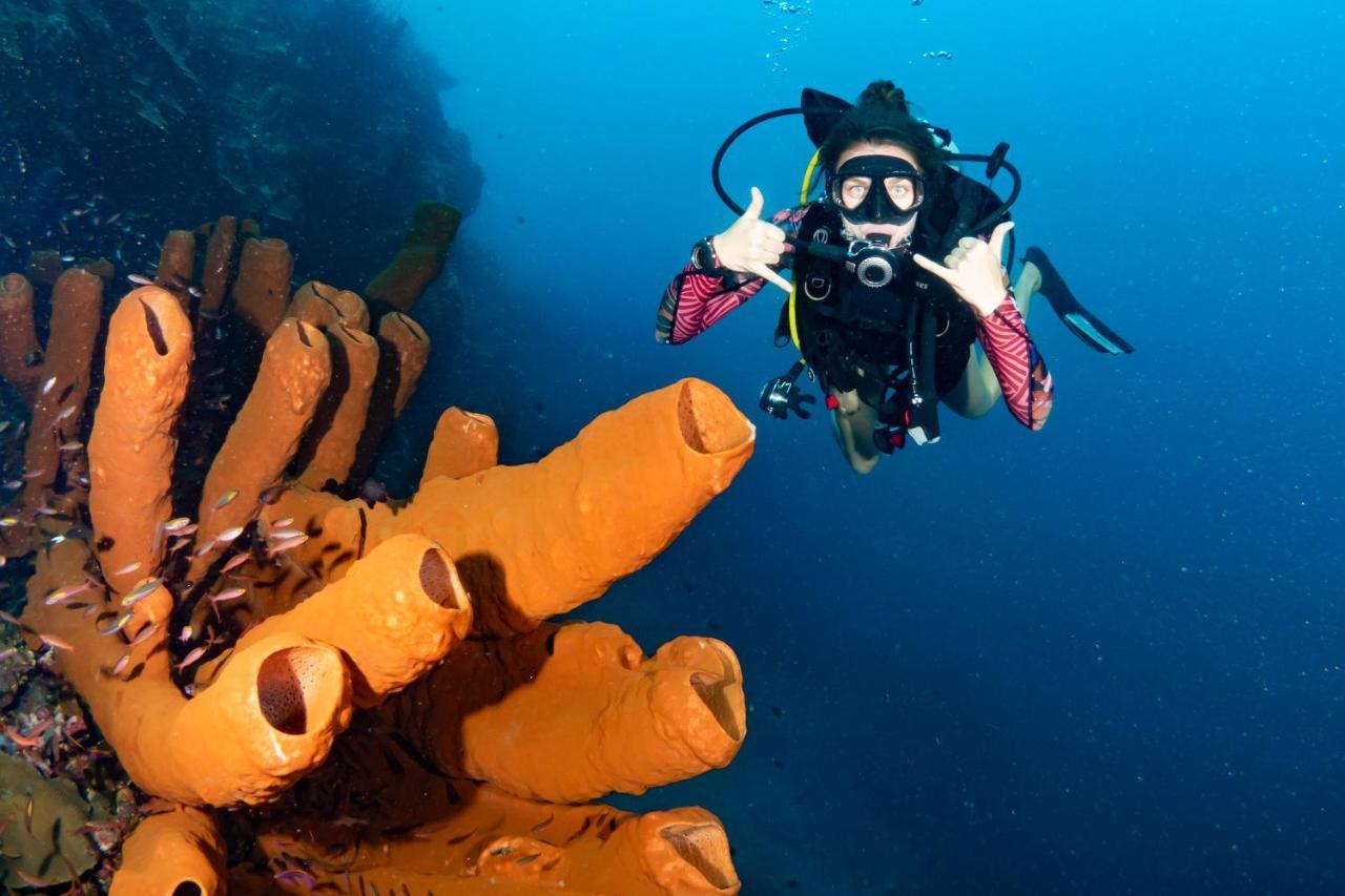 Sanctum Una Una Eco Dive Resort Pulau Unauna ภายนอก รูปภาพ