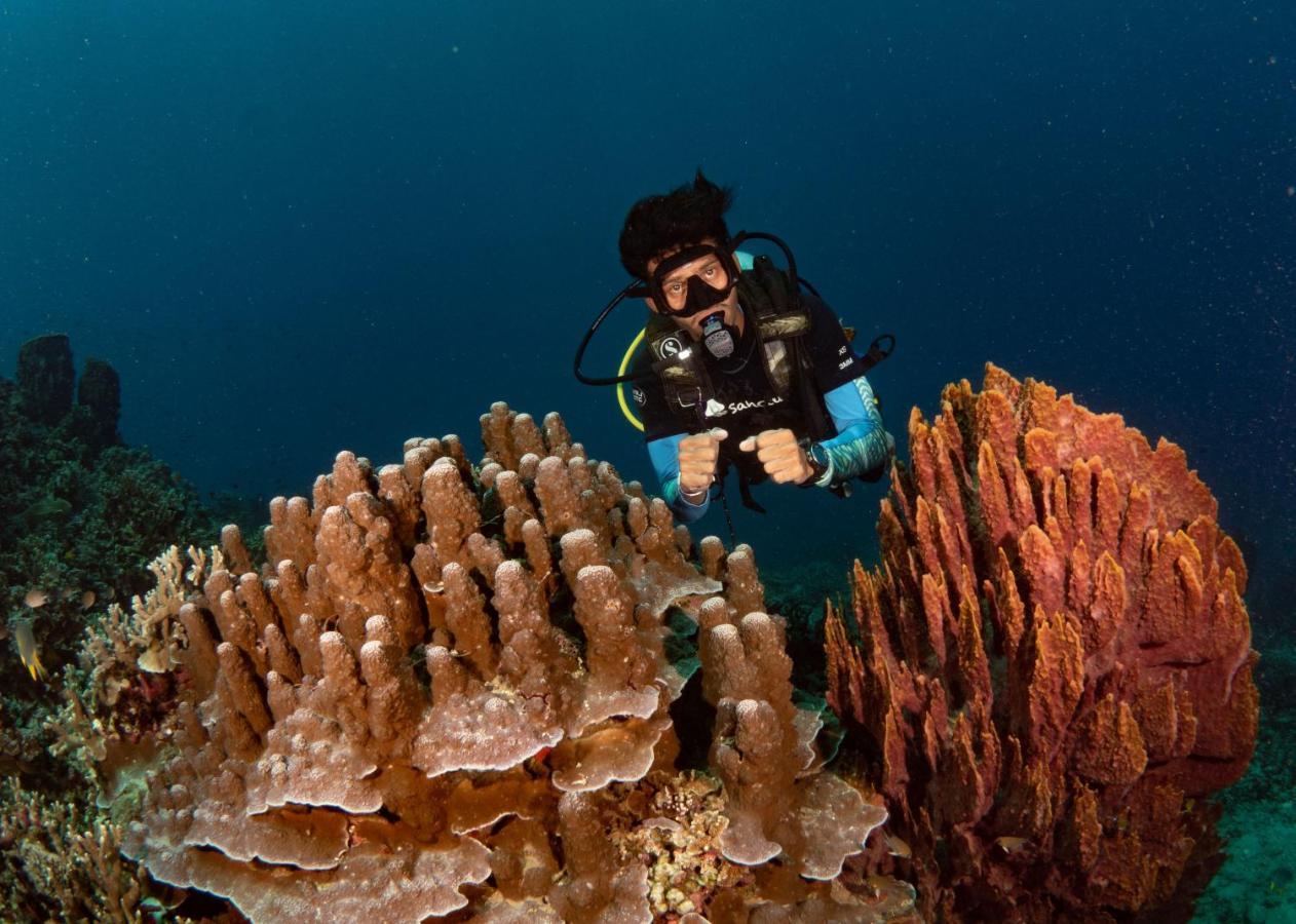 Sanctum Una Una Eco Dive Resort Pulau Unauna ภายนอก รูปภาพ