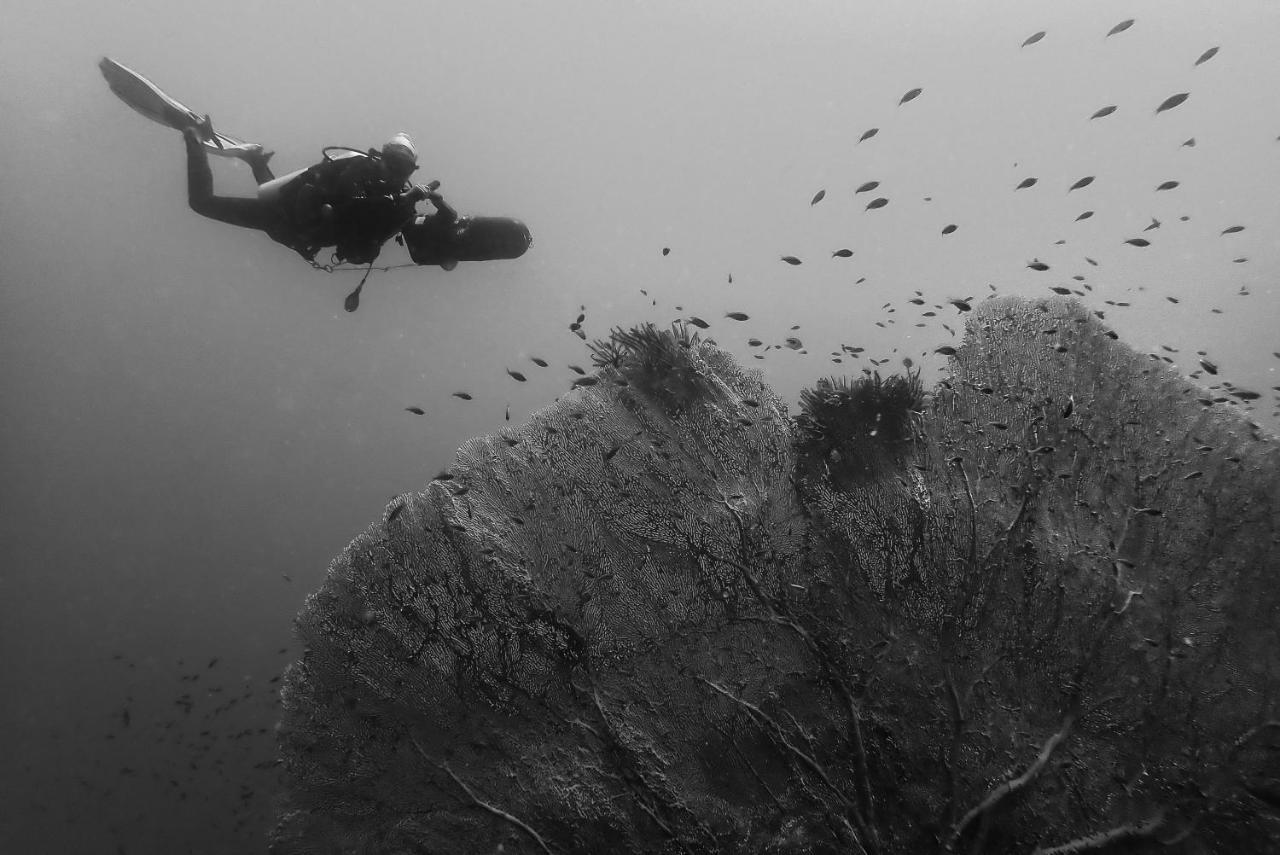 Sanctum Una Una Eco Dive Resort Pulau Unauna ภายนอก รูปภาพ