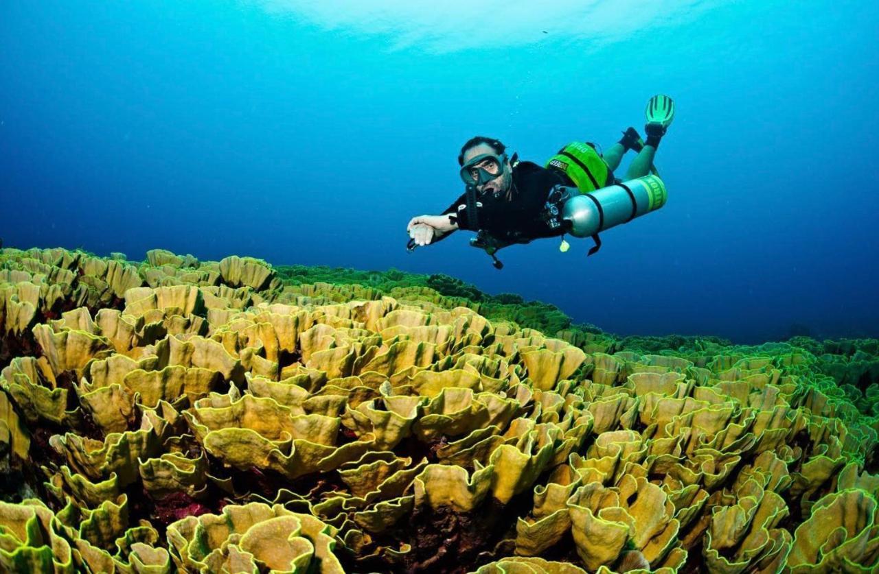 Sanctum Una Una Eco Dive Resort Pulau Unauna ภายนอก รูปภาพ