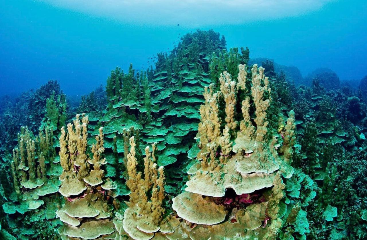 Sanctum Una Una Eco Dive Resort Pulau Unauna ภายนอก รูปภาพ