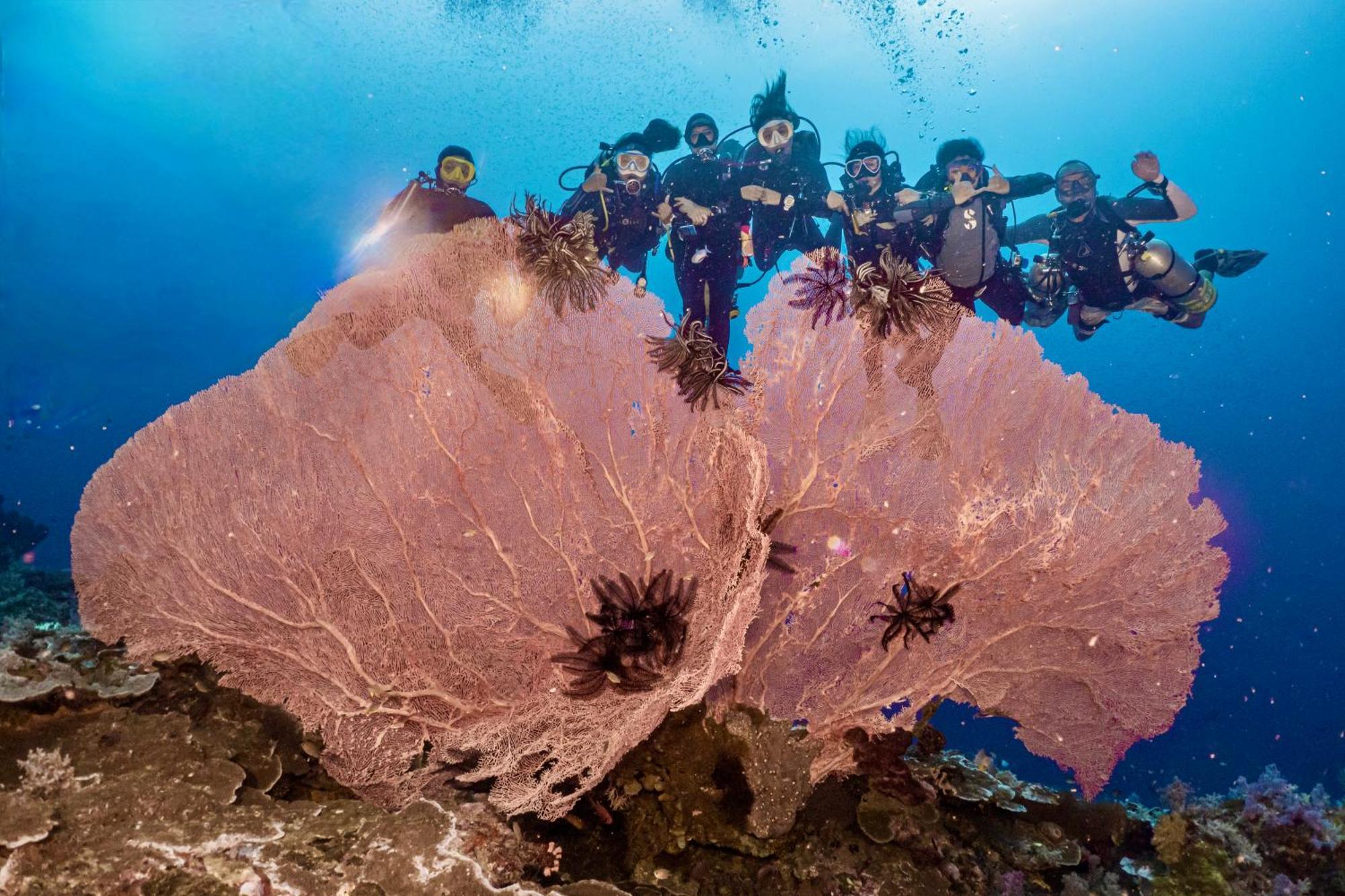 Sanctum Una Una Eco Dive Resort Pulau Unauna ภายนอก รูปภาพ