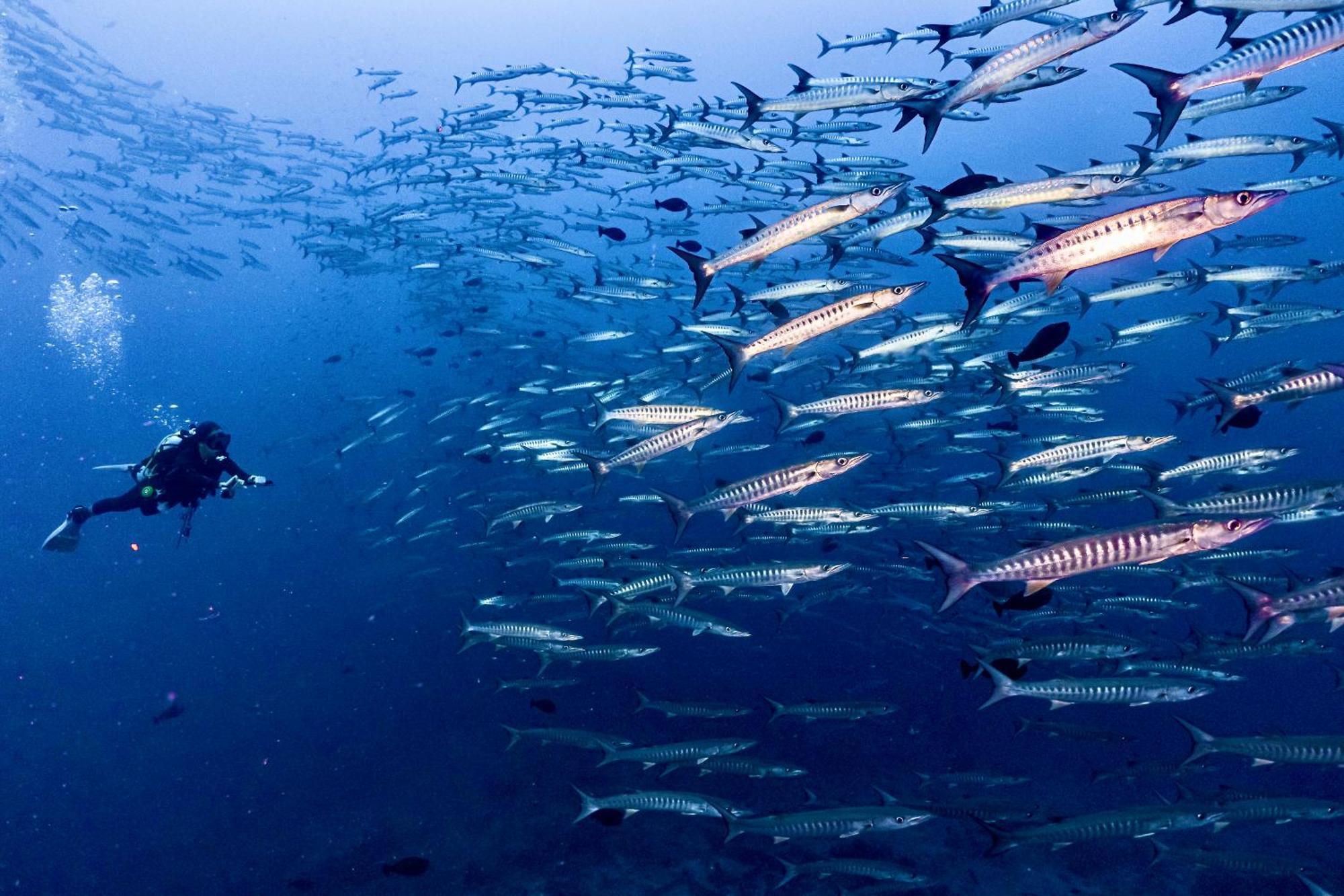 Sanctum Una Una Eco Dive Resort Pulau Unauna ภายนอก รูปภาพ